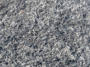 Yanmış çim küllerinden arka plan