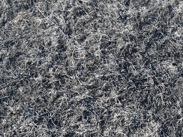 Yanmış çim küllerinden arka plan