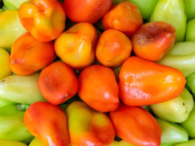 Bulgar biber yeşil ve kırmızı sepet olduğunu