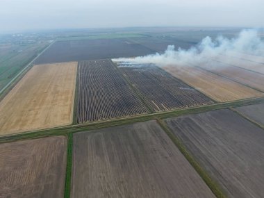 Buğday ürün hasat sonra alanları yanan saman