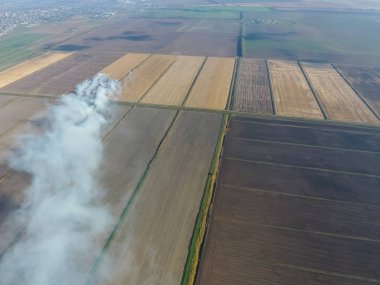 Buğday ürün hasat sonra alanları yanan saman