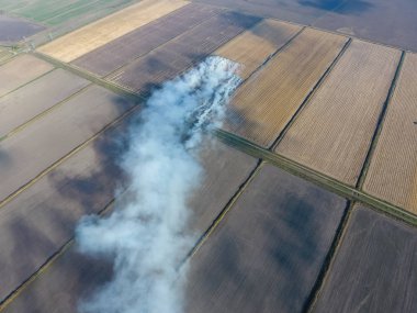 Buğday ürün hasat sonra alanları yanan saman