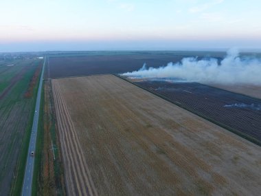 Buğday ürün hasat sonra alanları yanan saman