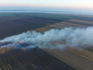Buğday ürün hasat sonra alanları yanan saman