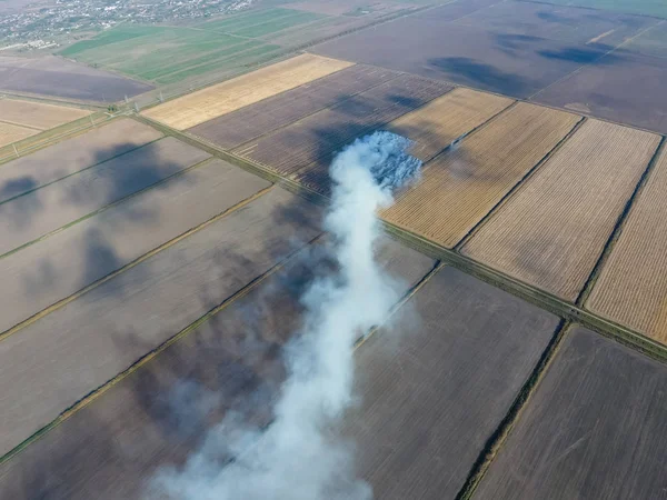 Paja ardiente en los campos después de cosechar trigo — Foto de Stock
