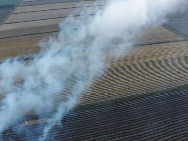 Buğday ürün hasat sonra alanları yanan saman