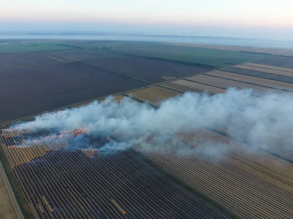 Stroh auf den Feldern nach der Weizenernte verbrennen — Stockfoto