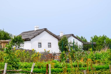 Sazlık çatısı ile Adobe kulübe. İkamet kazak aile