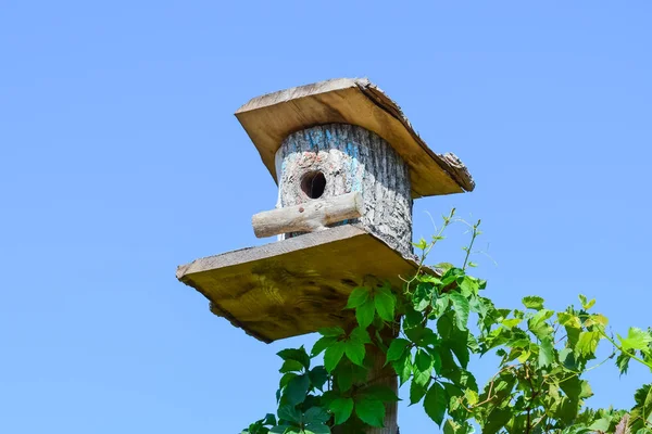 Vogelhäuschen, Häuser für Vögel — Stockfoto