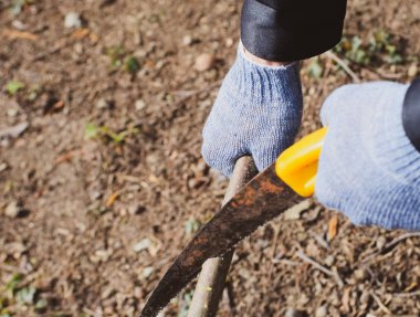 Bir el bahçeli bir ağaç dalı kesme gördüm.