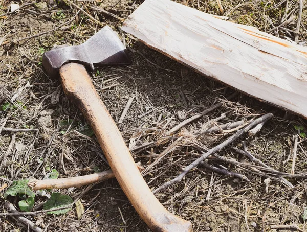 Corte de madeira com um machado — Fotografia de Stock