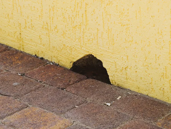 ночью темень ночью тиши. "где спит рыбка". стихотворение рыбка рыбка где ты спишь. мышкин к дырочке в полу. стих токмакова ночью темень ночью тишь рыбка рыбка где ты спишь.