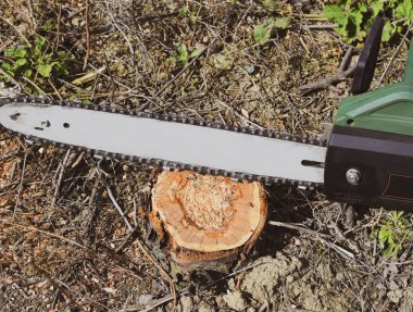 Boyutlanmış elektrikli testere ağaç