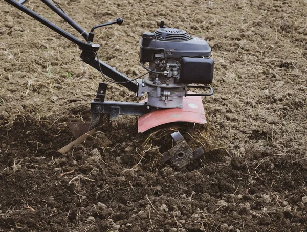 Planten van aardappelen onder de gang-achter trekker — Stockfoto