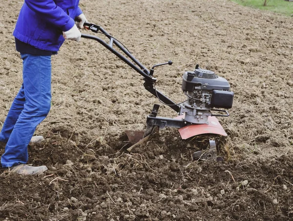 Planter des pommes de terre sous le tracteur marchant — Photo