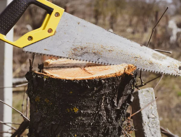 Zag een ijzerzaag op de gesneden tak. Snijden van een vertakking van de beslissingsstructuur met een hand tuin zag. — Stockfoto