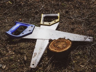 İki testere testerelerle karşısında yalan. Bahçe araç gördüm.