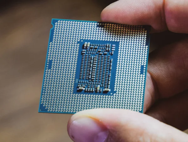 De processor is een desktopcomputer in de hand. De Cpu-contactpersonen controleren alvorens te installeren — Stockfoto