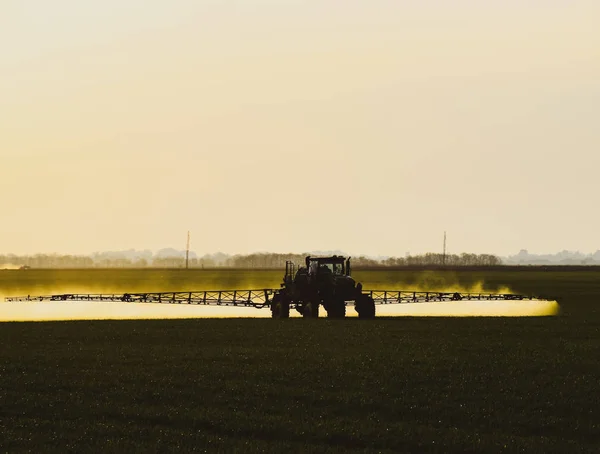 Traktor s pomocí postřikovače rozstřikuje tekutá hnojiva na mladou pšenici na poli. — Stock fotografie