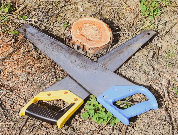 Duas serras serras encontram-se do outro lado. Ferramenta de jardim viu . — Fotografia de Stock