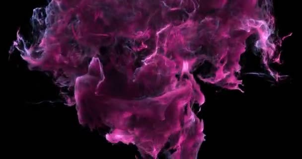 Motion Background VJ Loop - Romantic Pink Particles 4k + Matte — Stock Video