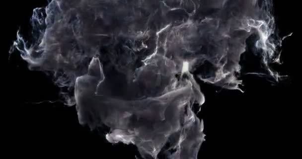 Bewegungshintergrund vj loop - noire smoke particles 4k + matt — Stockvideo