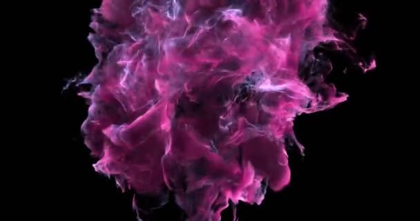 Motion Background VJ Loop - Romantic Pink Particles 4k + Matte — Stock Video