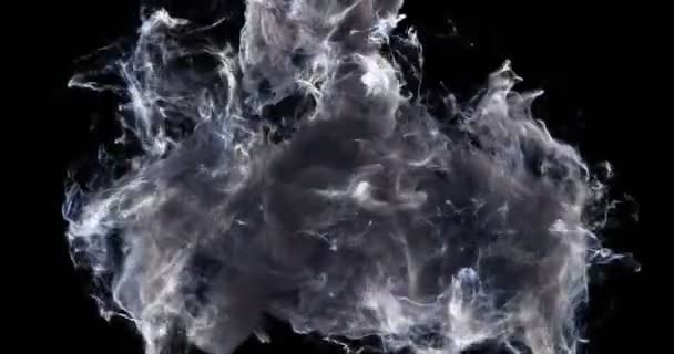 Bewegungshintergrund vj loop - noire smoke particles 4k + matt — Stockvideo