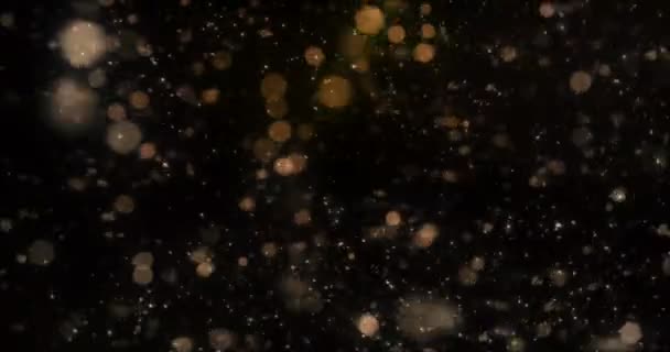 Motion background falling defocused golden bokeh lights snow loop 4k — Stock Video