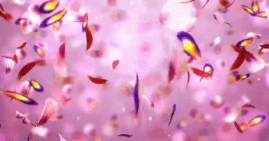 Romantik kırmızı pembe mor Sakura çiçek yaprakları arka plan döngü 4 k uçan Jakuzziler