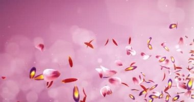 Romantik kırmızı pembe mor sarı sakura çiçek yaprakları yer tutucu döngü 4 k uçan