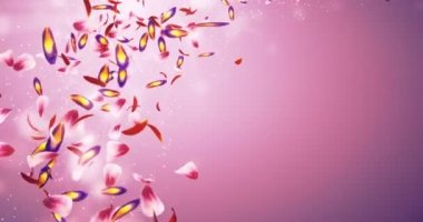 Düşen romantik kırmızı pembe mor çiçek yaprakları Bokeh yer tutucu döngü 4k