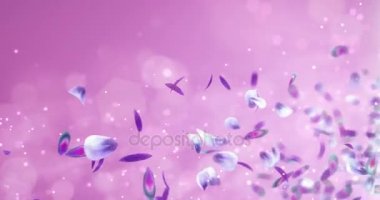 Uçan bulanık romantik mavi mor Menekşe çiçek yaprakları yer tutucu döngü 4k