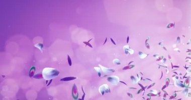 Uçan romantik mavi mor Menekşe orkide çiçek yaprakları yer tutucu döngü 4k