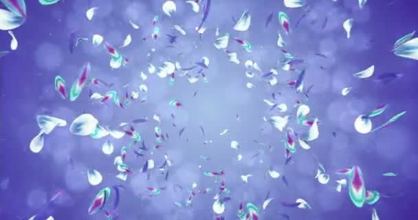 Caída romántica violeta azul verde flor pétalos vuelo fondo lazo 4k — Vídeo de stock