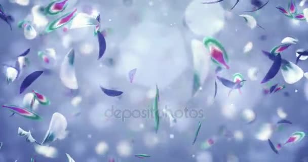 Vír, létající romantické fialové modrá fialová orchidej květina lístků pozadí smyčky 4k