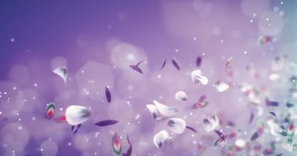 Flying Blurry Blurry Blue Purple Violet Flower Petals Placeholder Loop 4k — стоковое видео