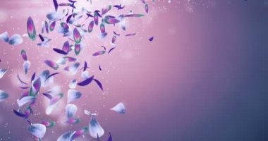 Uçan romantik mor yeşil mavi orkide çiçek yaprakları yer tutucu döngü 4k