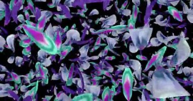 Mor mavi yeşil çiçek yaprakları düşen geçiş Alfa mat döngü 4 k uçan