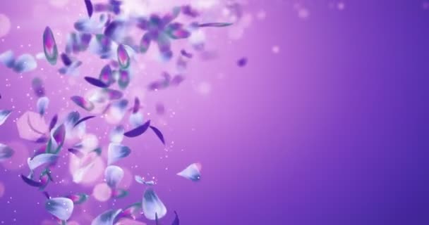 Flying Blurry Romántico Azul Violeta Pétalos de la flor Placeholder Loop 4k — Vídeo de stock