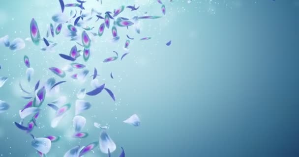 Flying romántico púrpura azul pétalos de la flor de la orquídea que cae titular del lugar Loop 4k — Vídeo de stock