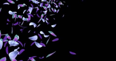 Mor yeşil mavi orkide çiçek yaprakları yer tutucu Alfa mat döngü 4 k uçan