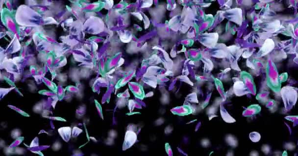 Queda Violeta Azul Verde Flor Pétalas Voando Transição Alfa fosco Loop 4k — Vídeo de Stock