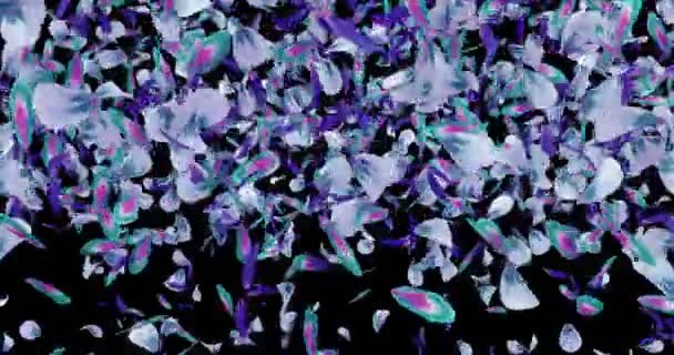 Caindo Violeta Azul Verde Flor Pétalas Luz Fundo Alfa fosco Loop 4k — Vídeo de Stock