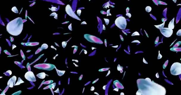Vortice romantico blu viola orchidea fiore petali sfondo alfa opaco loop 4k — Video Stock