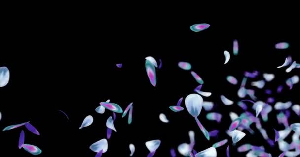Létající rozmazaný modrá fialová Violet Flower lístků zástupný symbol Alfa podkladu smyčka 4k