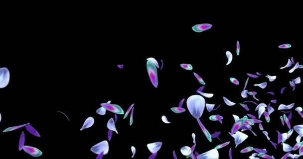 Flying Romântico Azul Roxo Orquídea Flor Pétalas Placeholder Alpha matte Loop 4k — Vídeo de Stock