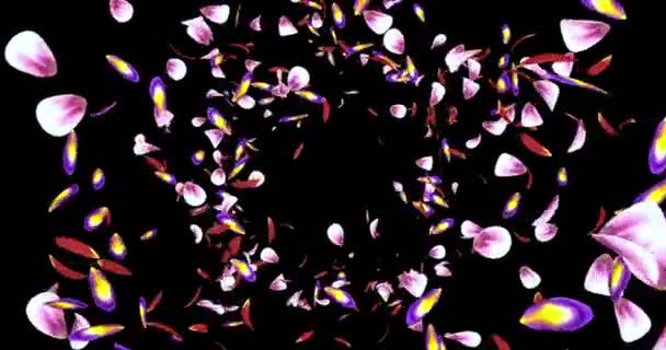 Kırmızı pembe sarı Sakura çiçek yaprakları uçan arka plan Alpha mat döngü 4k — Stok video