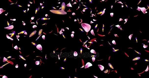 Caída rosa púrpura Sakura flor pétalos luz fondo alfa mate lazo 4k — Vídeo de stock