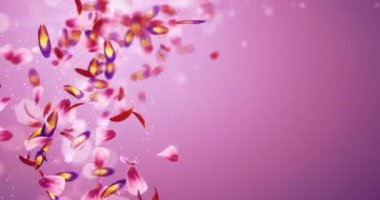 Düşen romantik kırmızı pembe mor çiçek yaprakları bulanık Bokeh yer tutucu döngü 4k